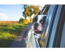 メルテック充電器MP-220とMP-230の違いを比較！どっちがおすすめ？