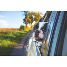 メルテック充電器MP-220とMP-230の違いを比較！どっちがおすすめ？