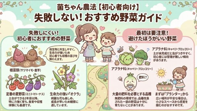 菌ちゃん農法おすすめ野菜は？適した野菜と適さない野菜をレビュー！【３年目】