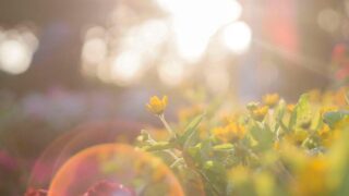 学生ママの便利家電レビュー＆3世代・子連れお出かけ情報発信局