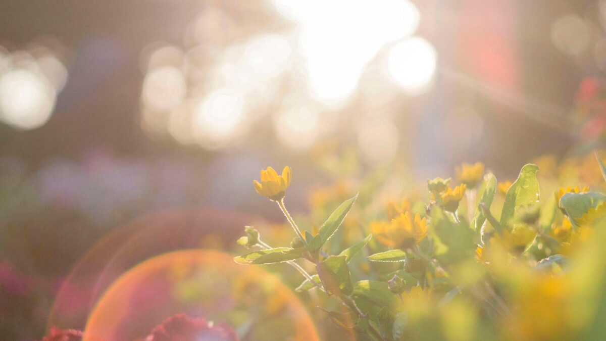 学生ママの便利家電レビュー＆3世代・子連れお出かけ情報発信局