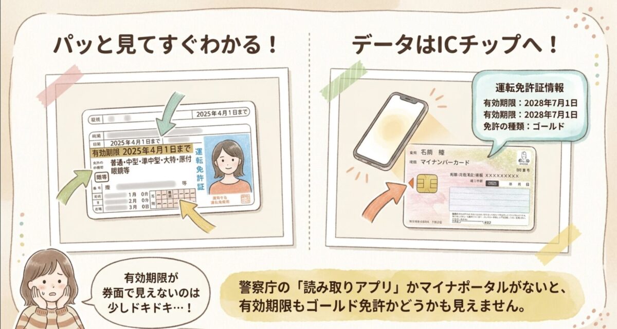 マイナ免許証は見た目でわからない?券面確認とICチップ確認の違い