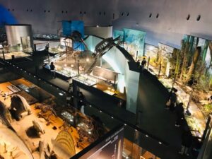恐竜博物館 館内 生命の歴史ゾーン