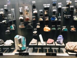 恐竜博物館 館内 鉱物展示