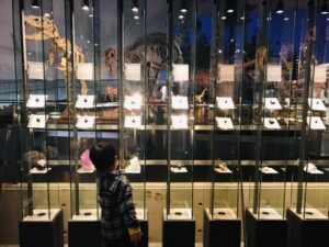恐竜博物館 館内 地球の化学ゾーン