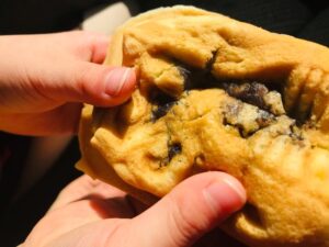 福井県 恐竜博物館 無料休憩所 恐竜焼き