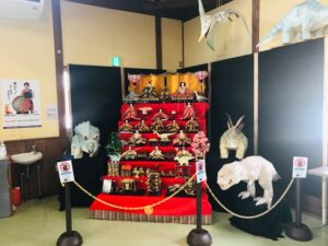 福井県 恐竜博物館 無料休憩所 店内