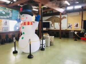 福井県 恐竜博物館 無料休憩所 店内