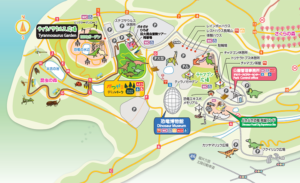 恐竜博物館 地図